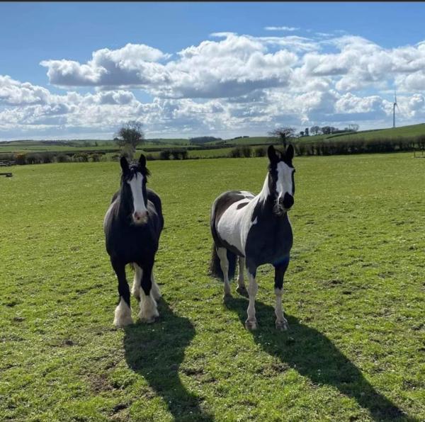 Birr House Riding Centre