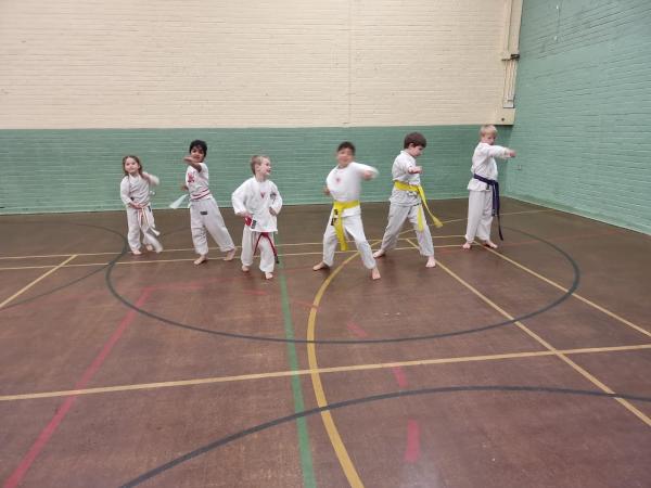 Www.sjkkarate.co.uk