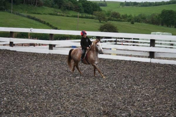 Broad View Riding School