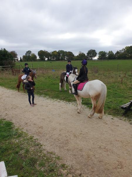 Attridges Equestrian Centre