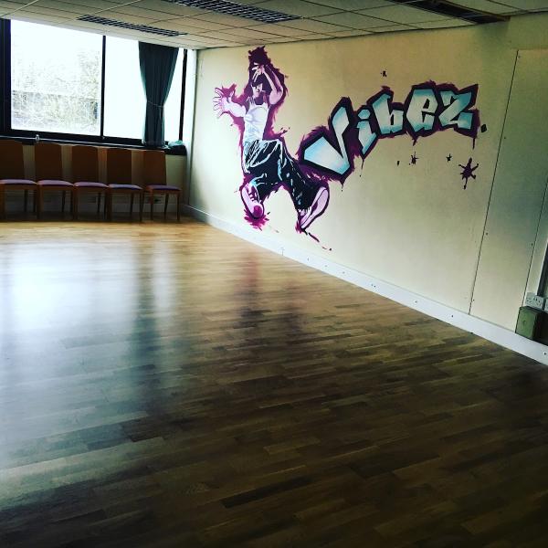Vibez Dance Studios
