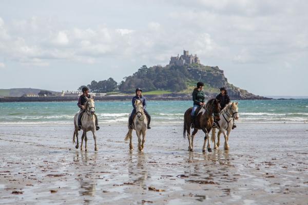 Cornwall Swimming Horses