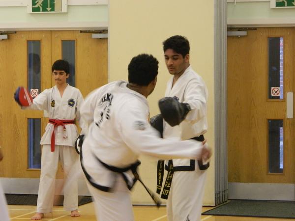 Palcic Taekwondo Brentford