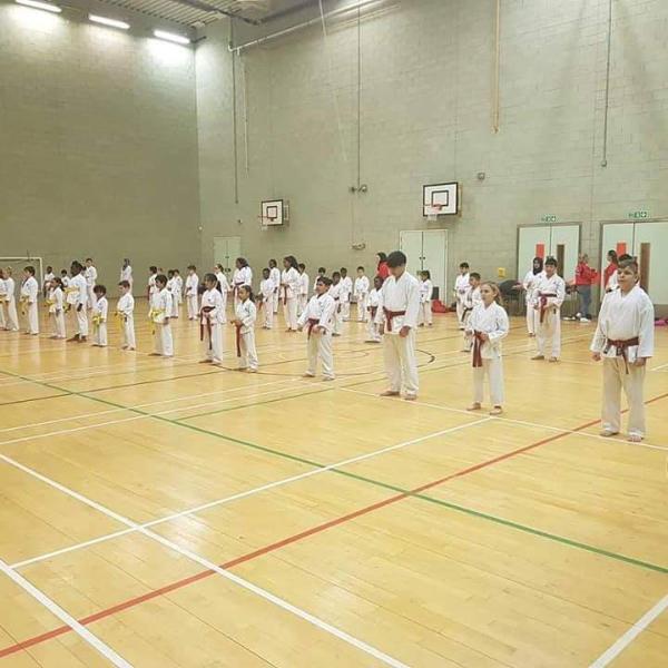 Elitez Karate Academy