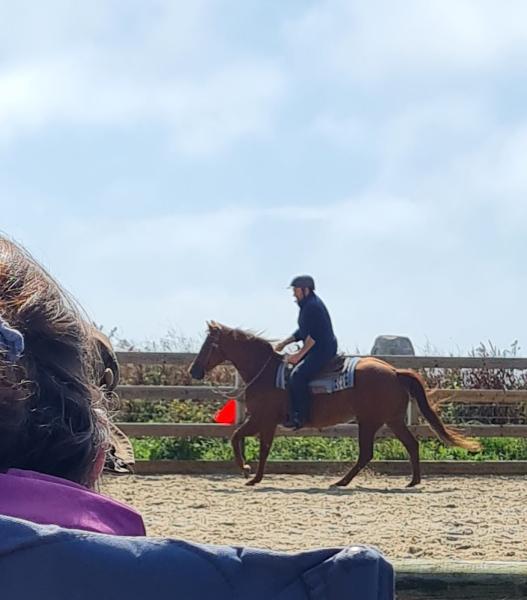 Chesil Equestrian