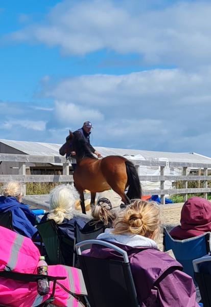 Chesil Equestrian