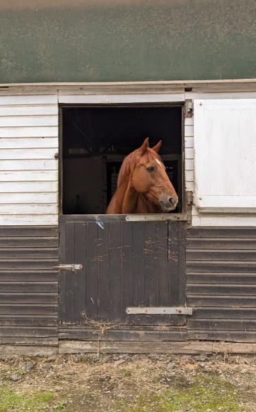 Woodredon Equestrian Centre