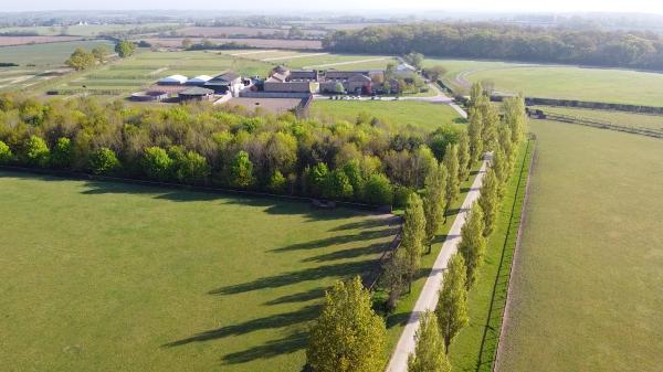 Morgan-Evans Equestrian