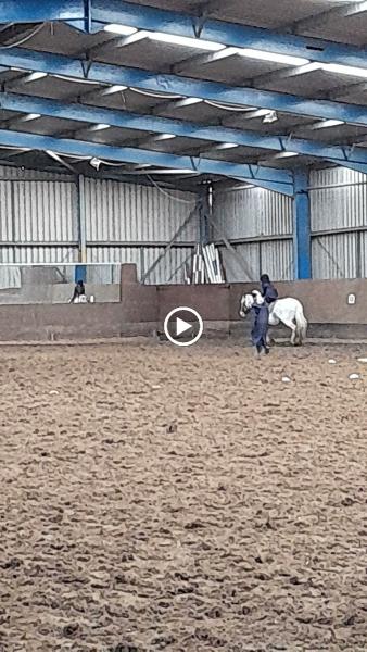 Firtree Farm Riding School