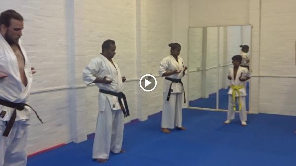 Kyokushin Karate Honbu Dojo