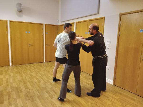 Bujinkan Shizen Dojo