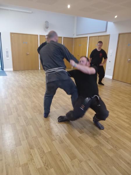 Bujinkan Shizen Dojo