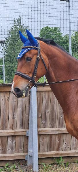 Tedworth Saddle Club