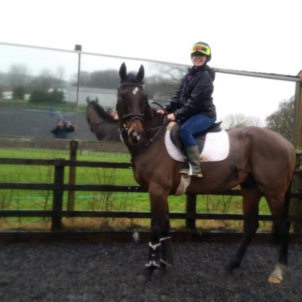 Upton Pyne Equestrian Centre