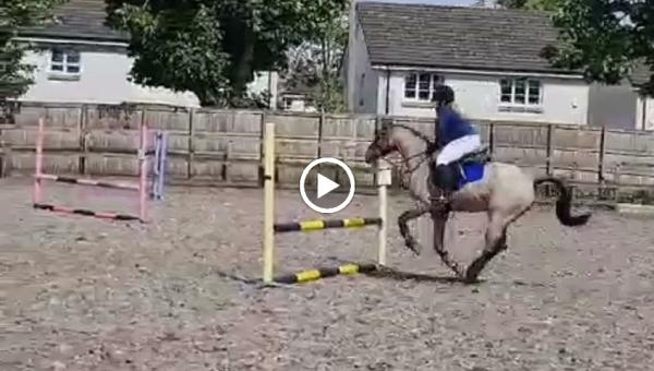 Fordbank Equestrian Centre