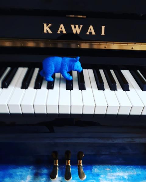Piano Rascal Tuition
