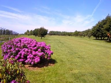 Southport Golf Academy