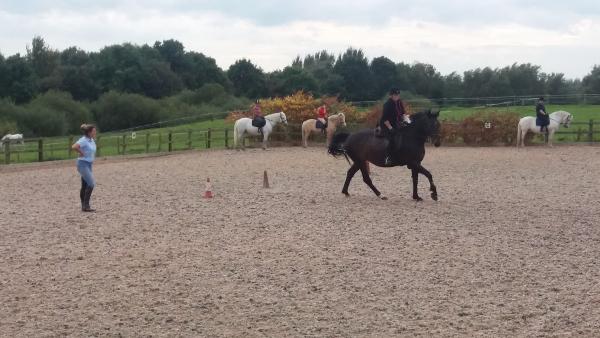 Croft End Equestrian Centre