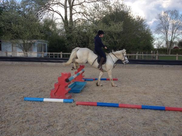 Forest Farm Riding School