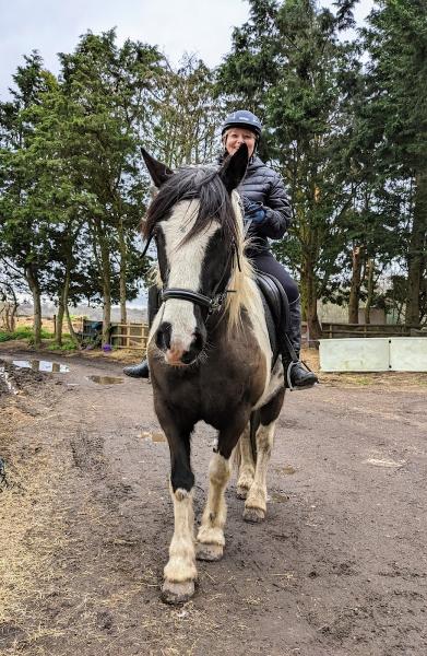 Holistic Horse & Pony Centre