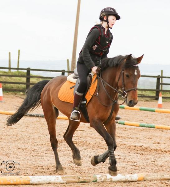 Lime Park Equestrian Centre