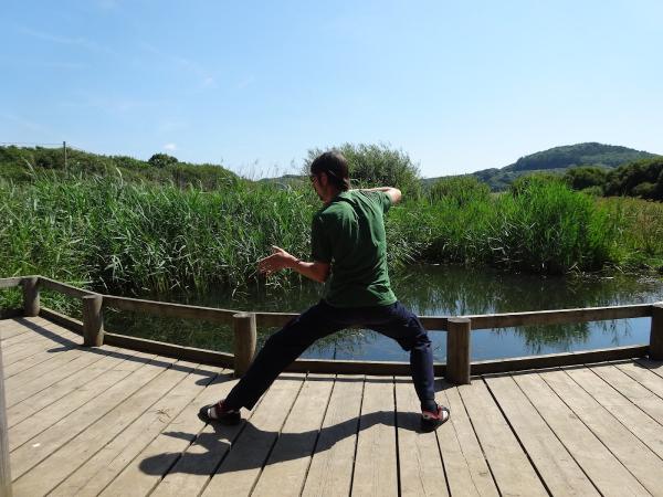 Tai Chi Momentum