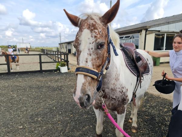 Glebe Farm Equestrian Centre