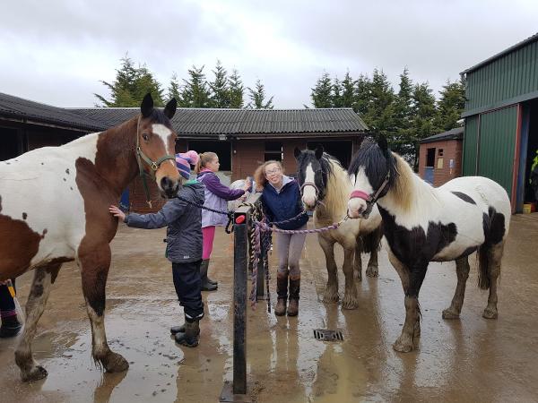 Cotswold Equestrian Academy