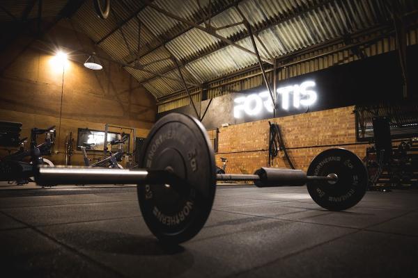 Fortis