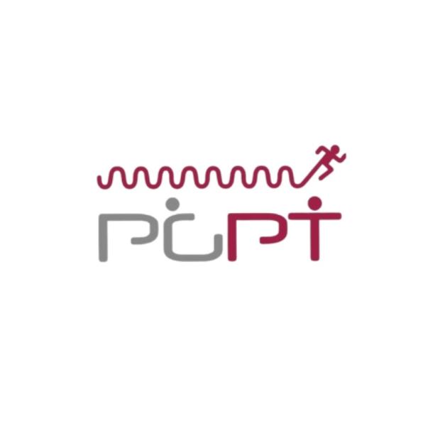 Pgpt Personal Training