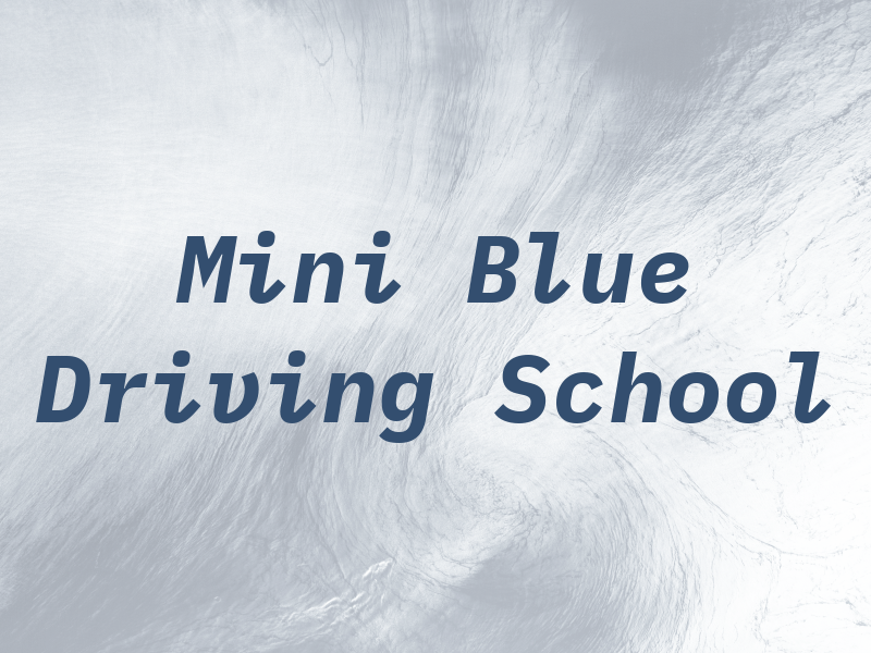 Mini Blue Driving School