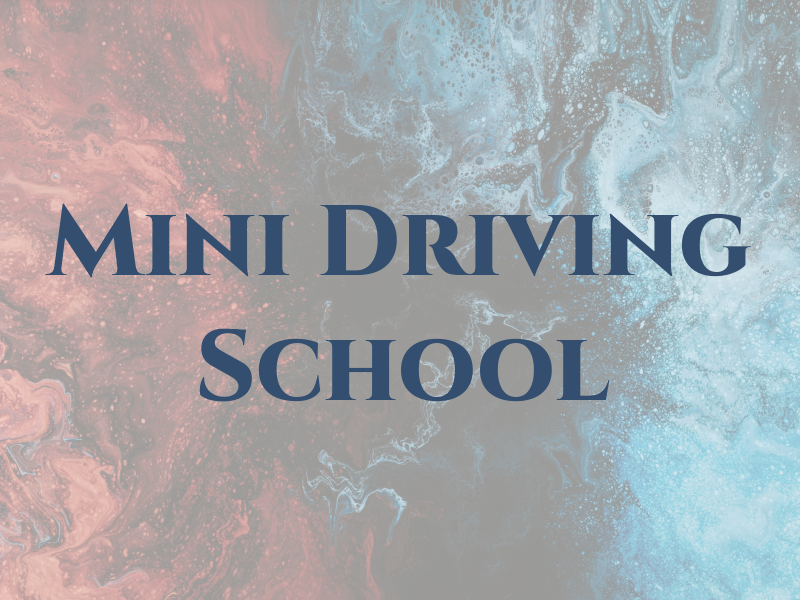 Mini Me Driving School