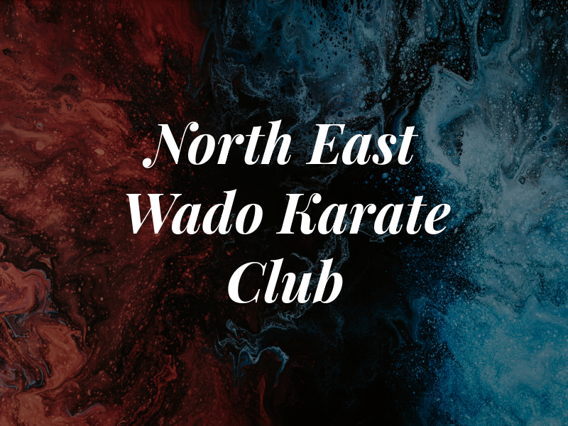 North East Wado Ryu Karate Club