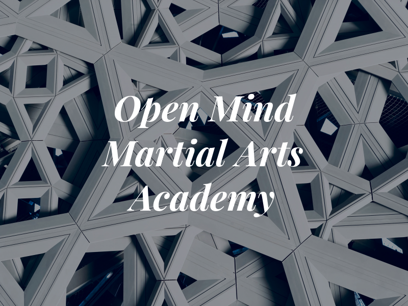 Open Mind Martial Arts Academy