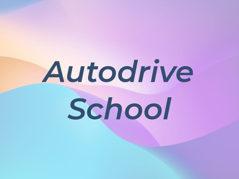 Autodrive School
