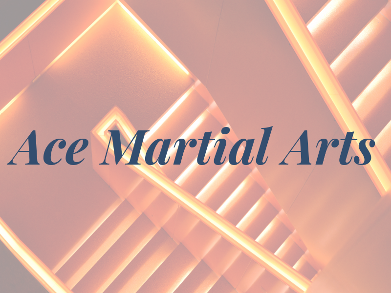 Ace Martial Arts