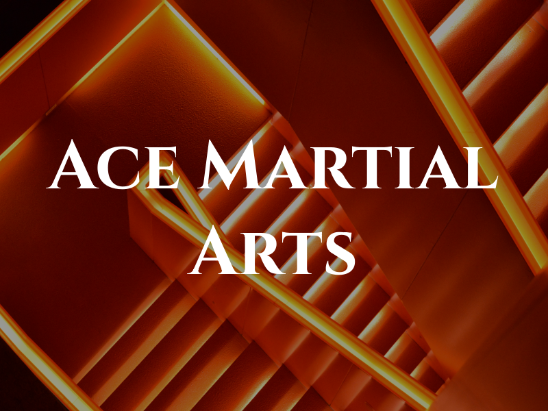 Ace Martial Arts