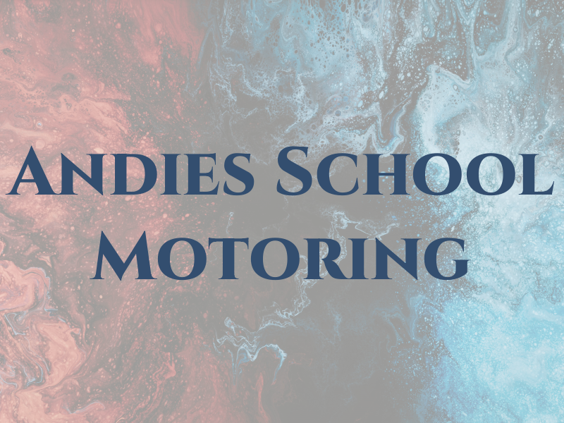 Andies l'S School Of Motoring