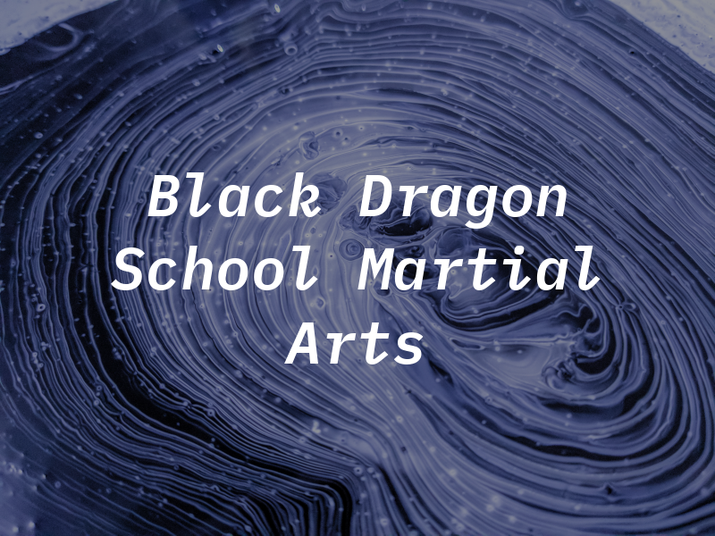Black Dragon School of Martial Arts