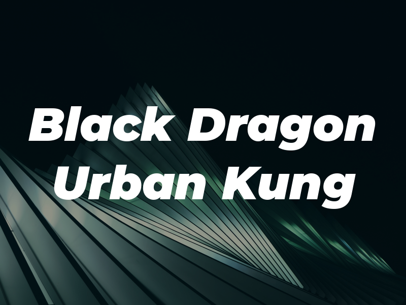 Black Dragon Urban Kung Fu