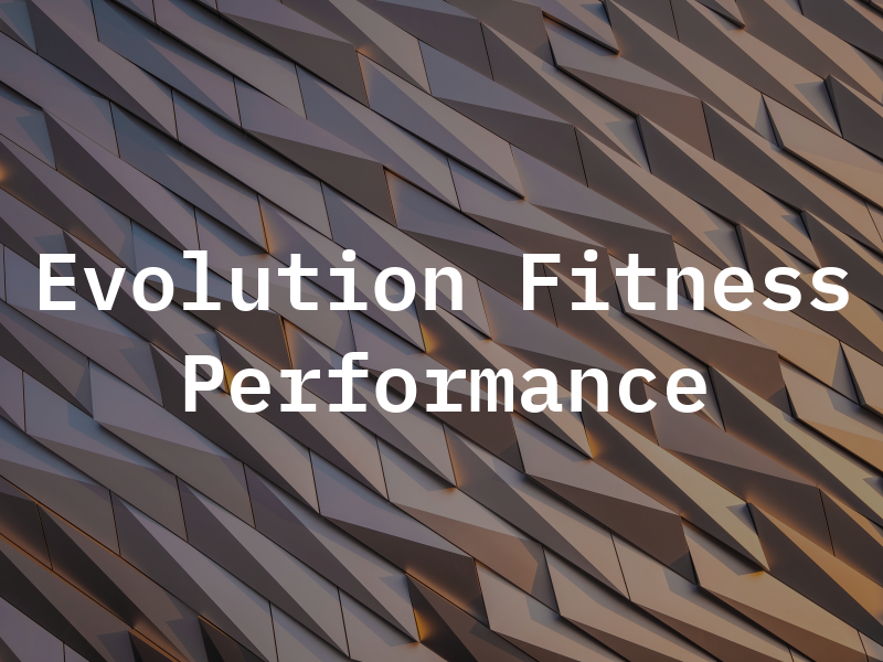 Evolution Fitness & Performance