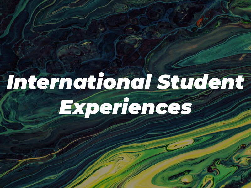 International Student Experiences