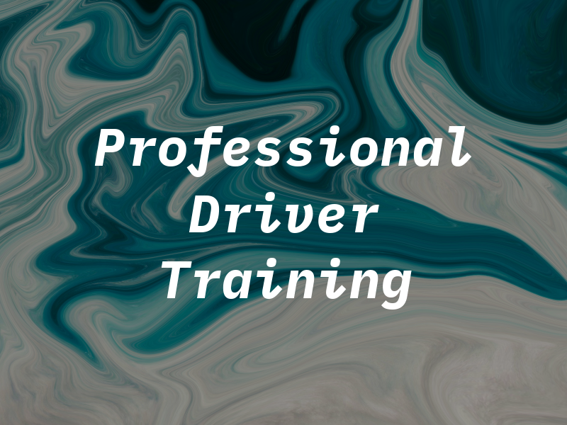 JDS Professional Driver Training