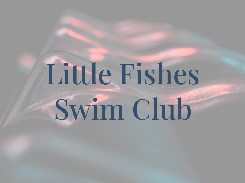 Little Fishes Swim Club