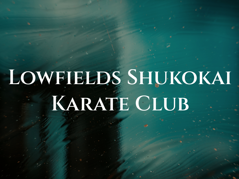 Lowfields Shukokai Karate Club