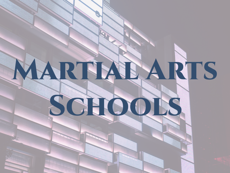 Pro Martial Arts Schools
