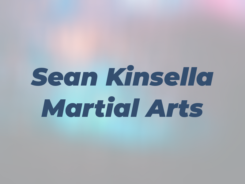 Sean Kinsella Martial Arts