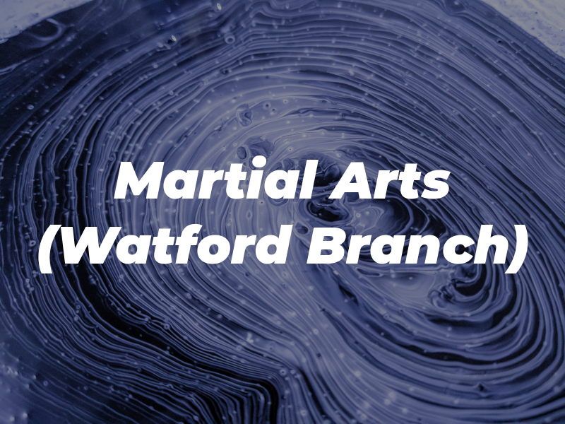 ZKS Martial Arts (Watford Branch)