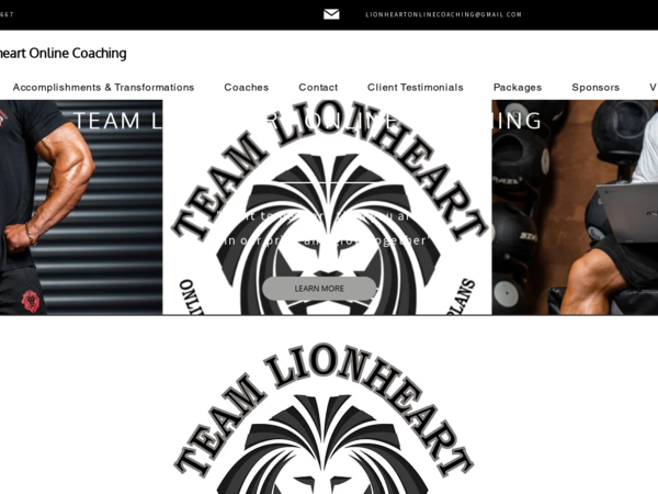 Team Lionheart LTD