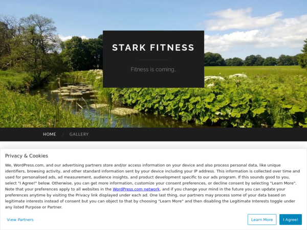 Stark Fitness